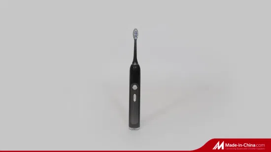Cepillo de dientes ultrasónico eléctrico recargable del poder de batería impermeable del precio bajo al por mayor
